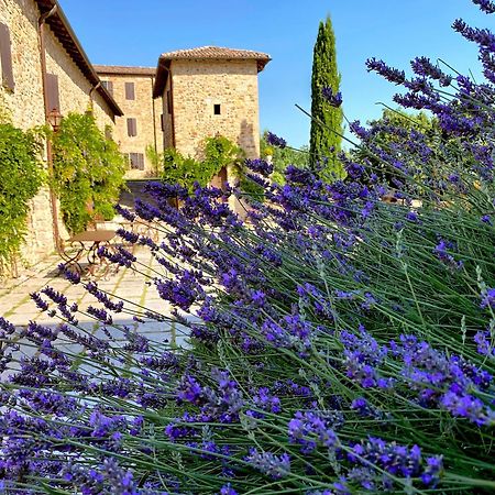 Castello Di Viano Βίλα Εξωτερικό φωτογραφία