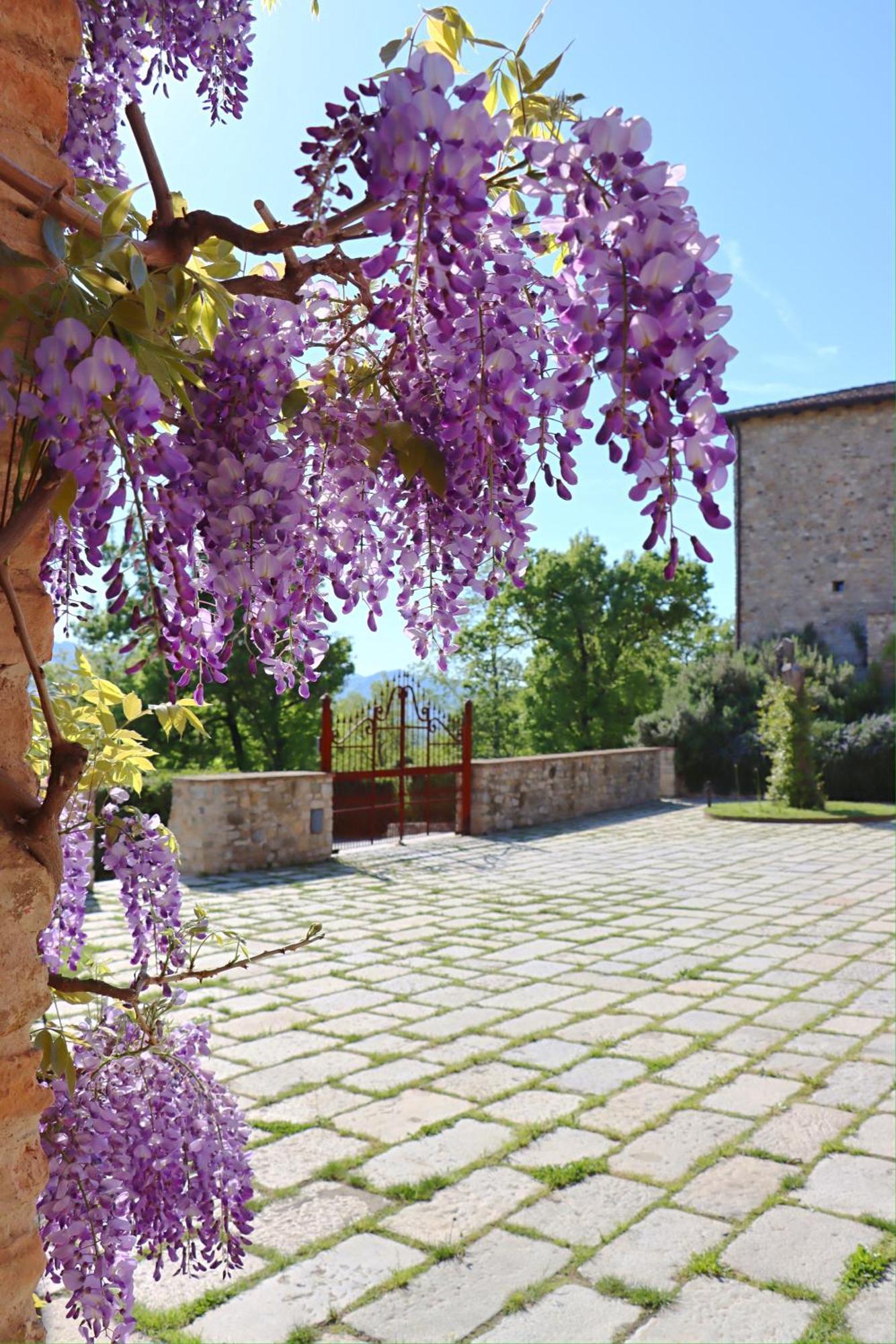 Castello Di Viano Βίλα Εξωτερικό φωτογραφία