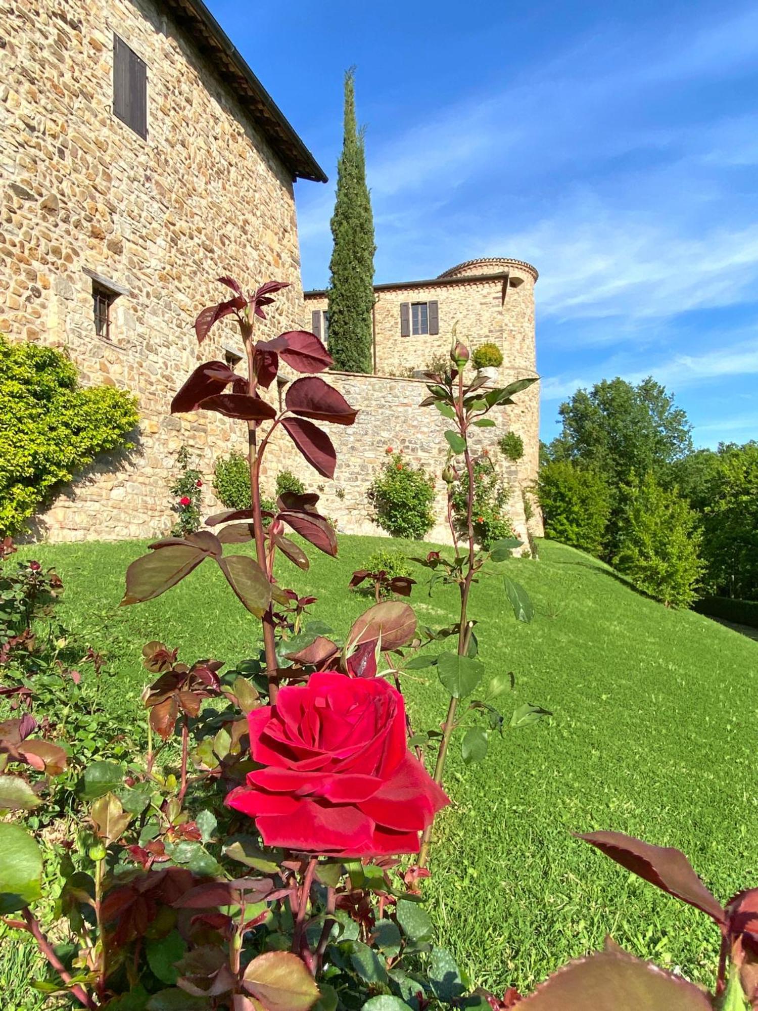 Castello Di Viano Βίλα Εξωτερικό φωτογραφία