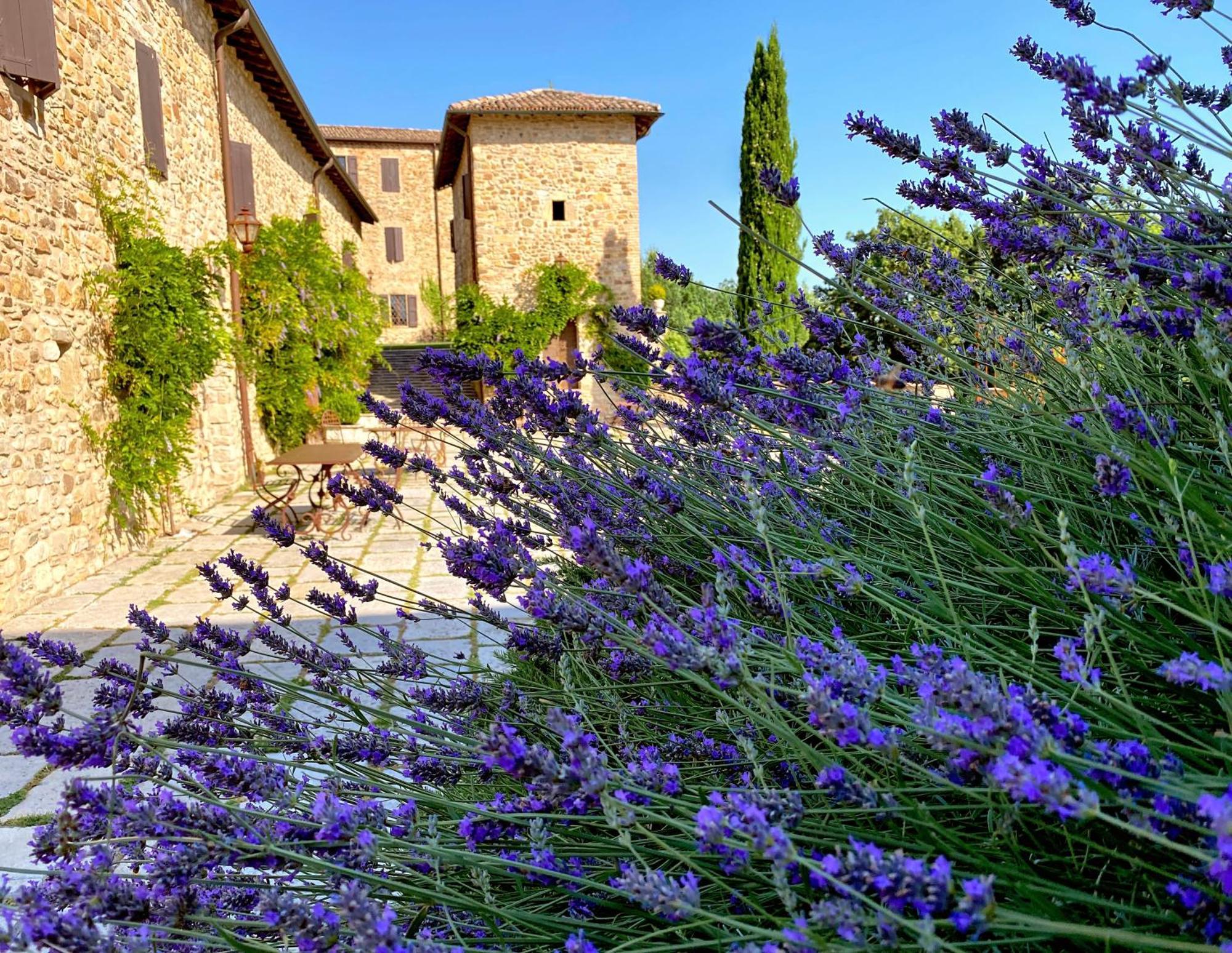 Castello Di Viano Βίλα Εξωτερικό φωτογραφία